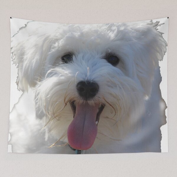 Item preview, Riley el mini schnauzer designed and sold by nancyjcreates.