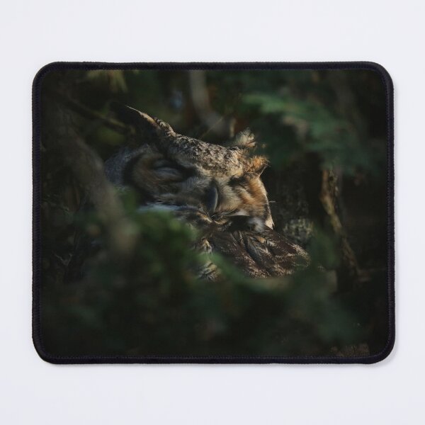 Item preview, Great horned owl sleeping designed and sold by locustgirl.