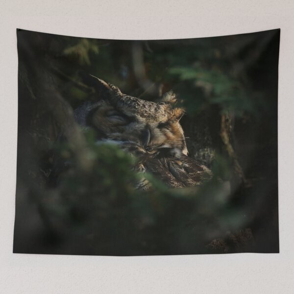 Item preview, Great horned owl sleeping designed and sold by locustgirl.
