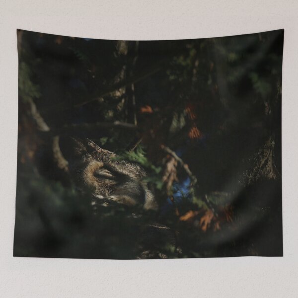 Item preview, Sleeping beauty owl designed and sold by locustgirl.