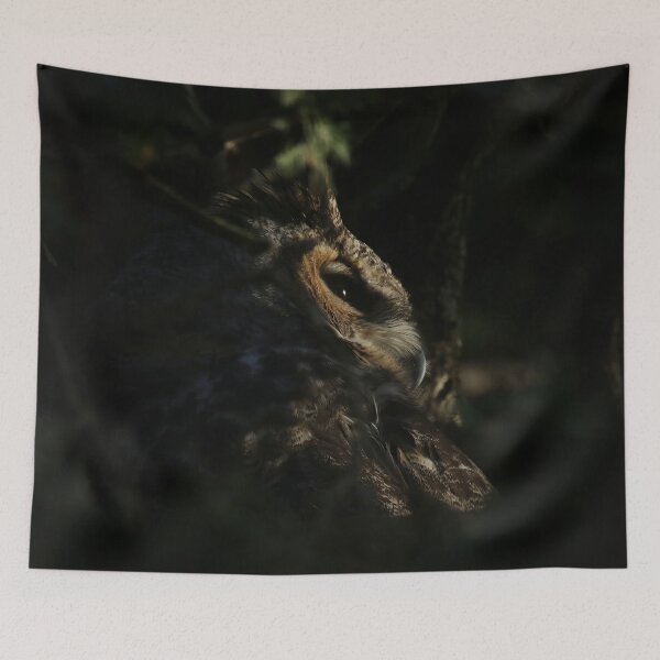 Item preview, Feathered Goddess of the night designed and sold by locustgirl.