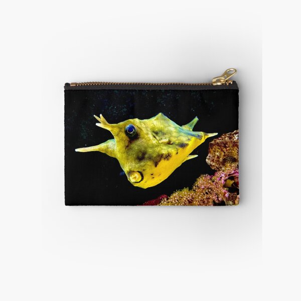 Item preview, Long Horned Cow Fish designed and sold by HEHPhotography.