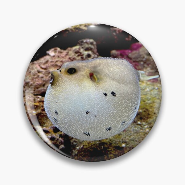 Item preview, One Angry Dogface Puffer Fish designed and sold by HEHPhotography.