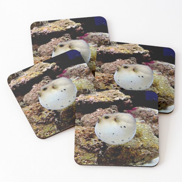 Item preview, One Angry Dogface Puffer Fish designed and sold by HEHPhotography.
