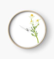 Chamomile Clock