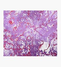 Purple White and rose gold elegant marble pattern Photographic Print
