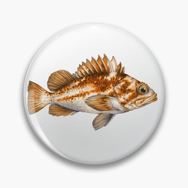 Item preview, Copper Rockfish designed and sold by taeylenol.