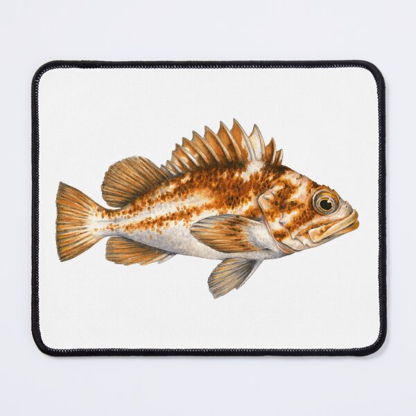 Item preview, Copper Rockfish designed and sold by taeylenol.