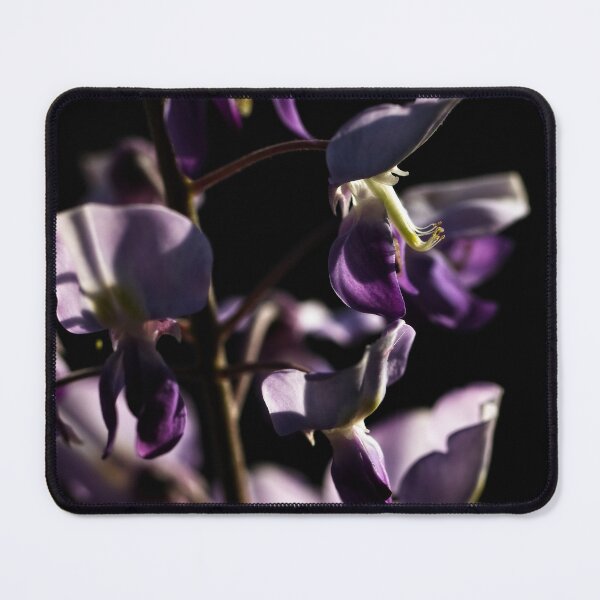 Item preview, Close Ups (2) designed and sold by Wolf Sverak Photography.