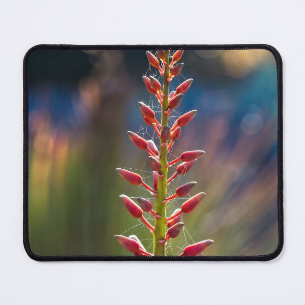 Item preview, Close Ups (1) designed and sold by Wolf Sverak Photography.
