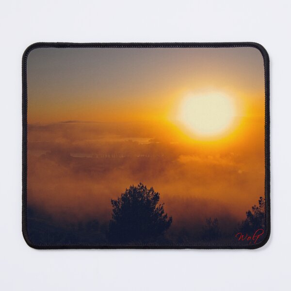 Item preview, Patchy Fog at Sunrise at the Arboretum (4) designed and sold by Wolf Sverak Photography.