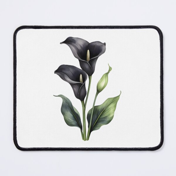 Item preview, Black Calla Lily (Zantedeschia ‘Black Star’) designed and sold by HOMETOWN86.