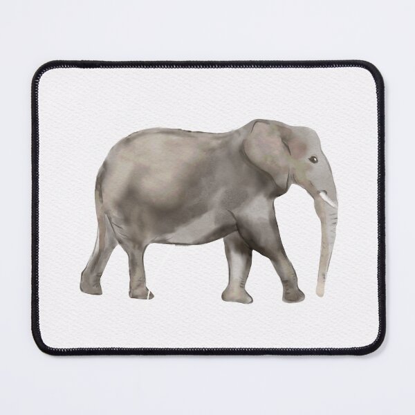 Item preview, Elephant, Koala, Giraffe, and Birds standing on a white background with a focus on its large size, trunk, and tusks, illustrating a majestic mammal in its natural wildlife environment designed and sold by Ammi77.