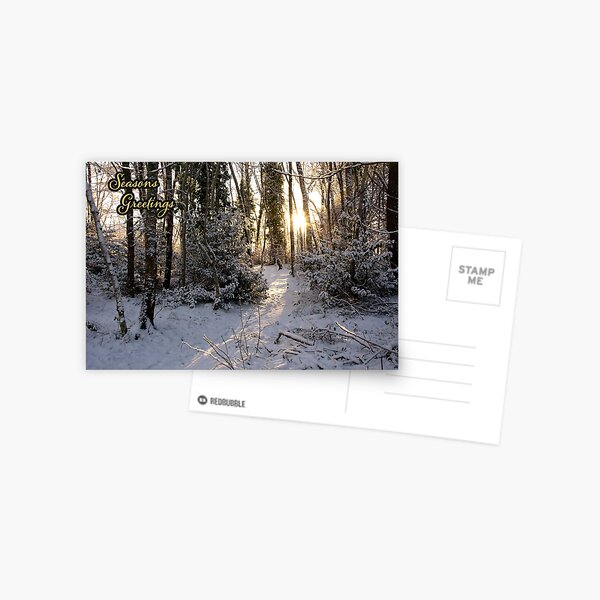 Into The Light - Seasons Greetings Postcard