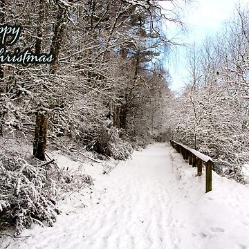 Artwork thumbnail, The Path - Happy Christmas by Alternative Perspectives