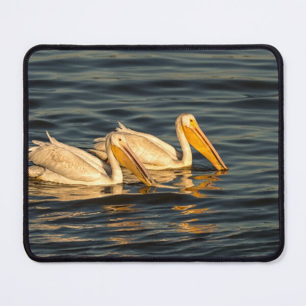 Item preview, American White Pelicans Searching For Fish designed and sold by Debra Martz.