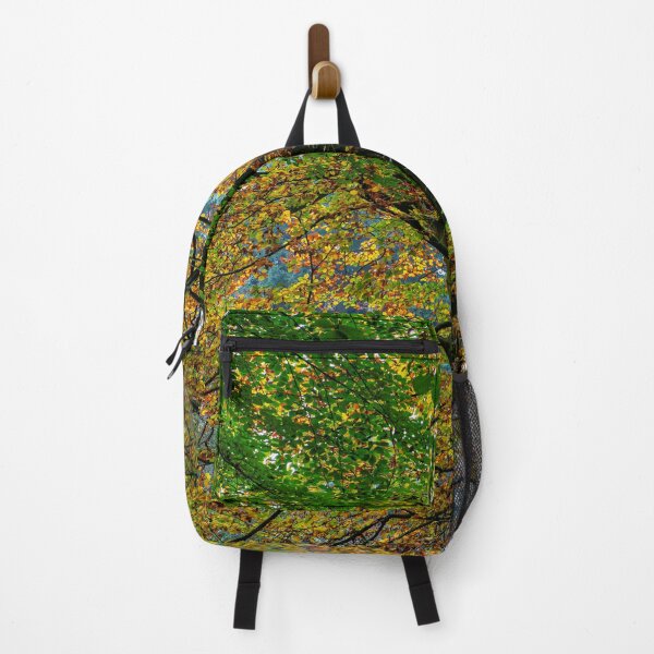 Item preview, Golden Autumnal Woodland designed and sold by Dave Hare Photography.