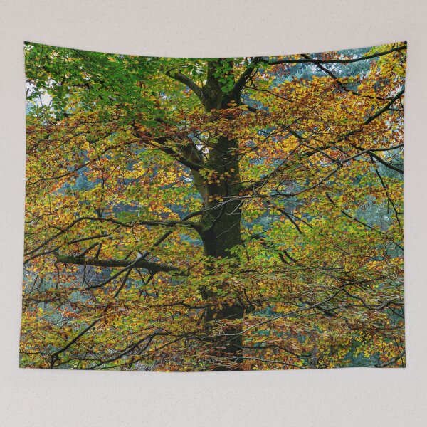Item preview, Golden Autumnal Woodland designed and sold by Dave Hare Photography.