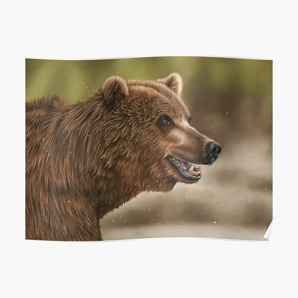 Alaskan Brown Bear Poster
