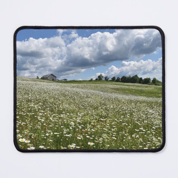 Item preview, A field of wild flowers designed and sold by Claude Laprise.