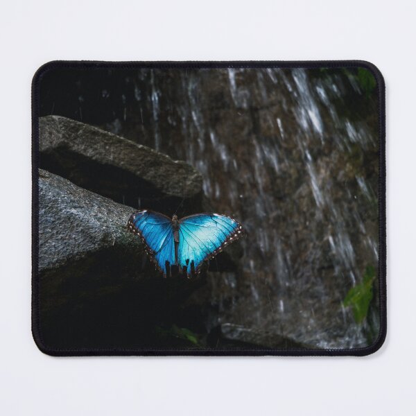 Item preview, Blue Morpho Butterfly With Falling Water (Photograph) designed and sold by RealmOfImages.