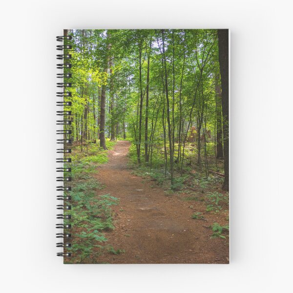 Item preview, Deep Forest Trail (Photograph) designed and sold by RealmOfImages.