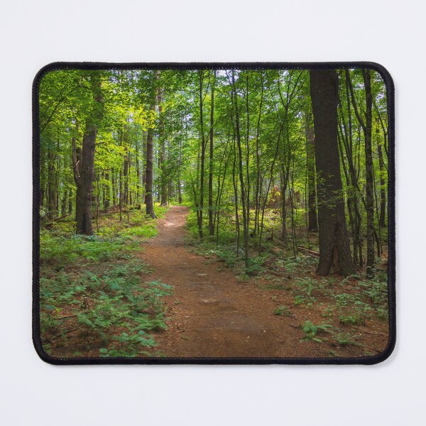 Item preview, Deep Forest Trail (Photograph) designed and sold by RealmOfImages.