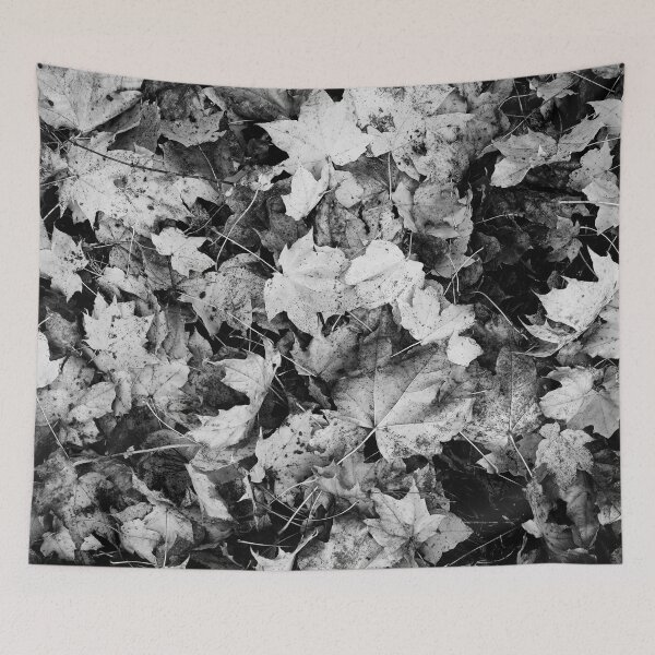 Item preview, All on ground. Norway maple bw designed and sold by Jouko Lehto Photography.