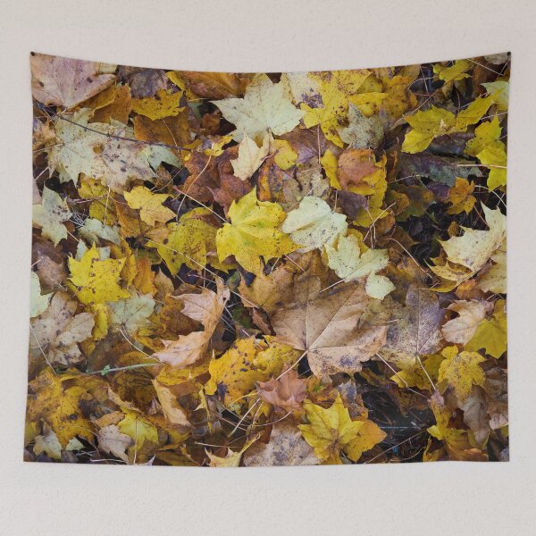 Item preview, All on ground. Norway maple designed and sold by Jouko Lehto Photography.