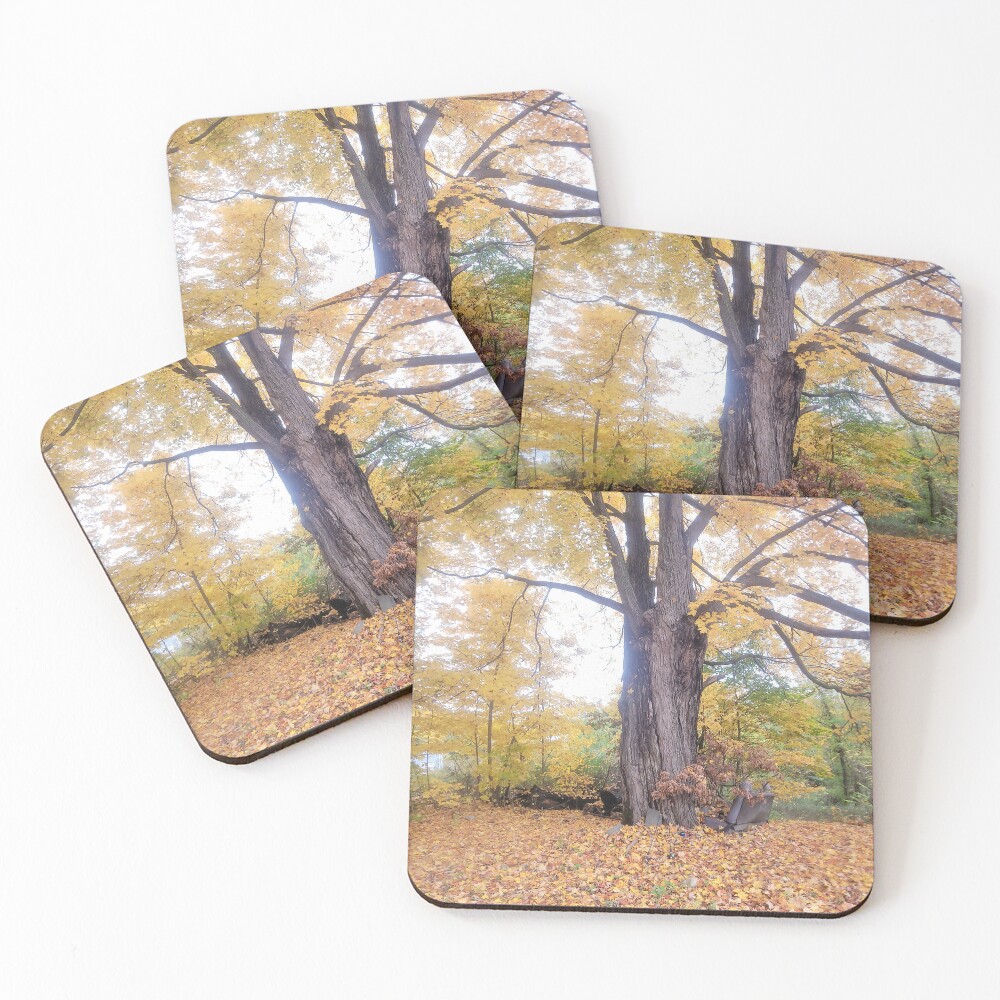 Item preview, Coasters (Set of 4) designed and sold by Erica3313.