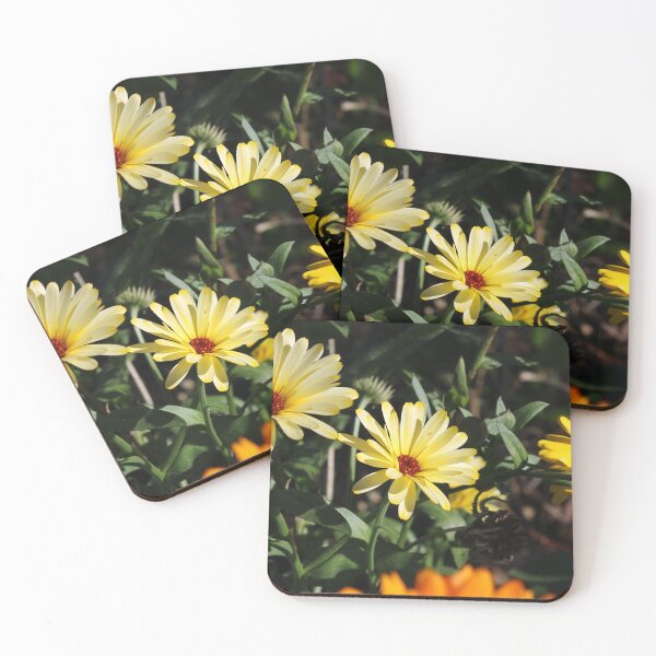 Item preview, Calendula  designed and sold by McFleur's Lens.