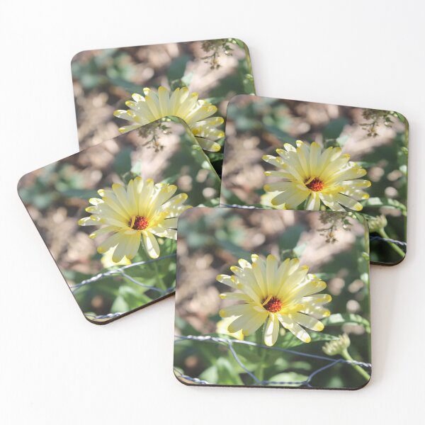 Item preview, Calendula 2 designed and sold by McFleur's Lens.