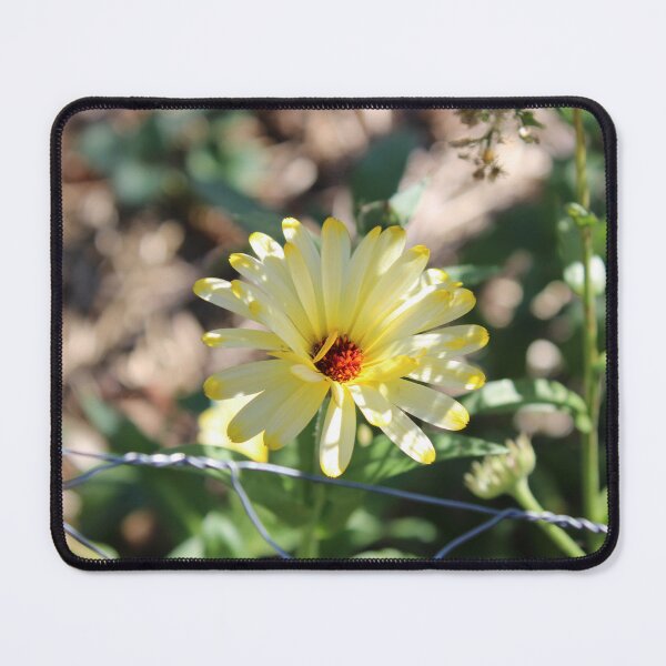 Item preview, Calendula 2 designed and sold by McFleur's Lens.