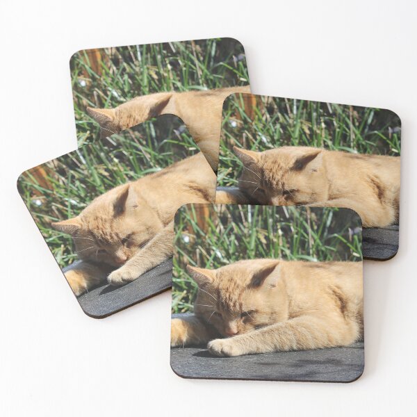 Item preview, Lazy kitty  designed and sold by McFleur's Lens.