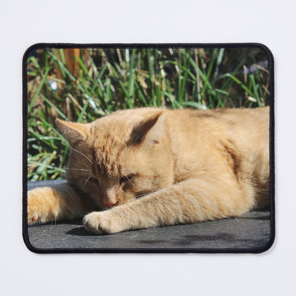 Item preview, Lazy kitty  designed and sold by McFleur's Lens.