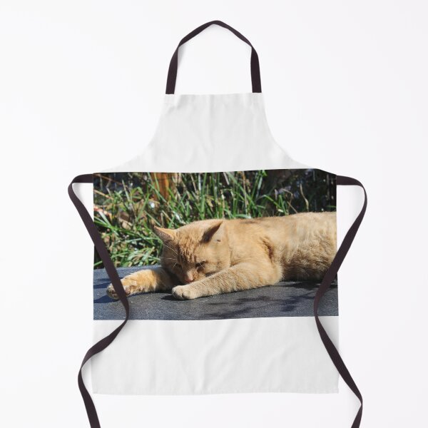 Item preview, Lazy kitty  designed and sold by McFleur's Lens.