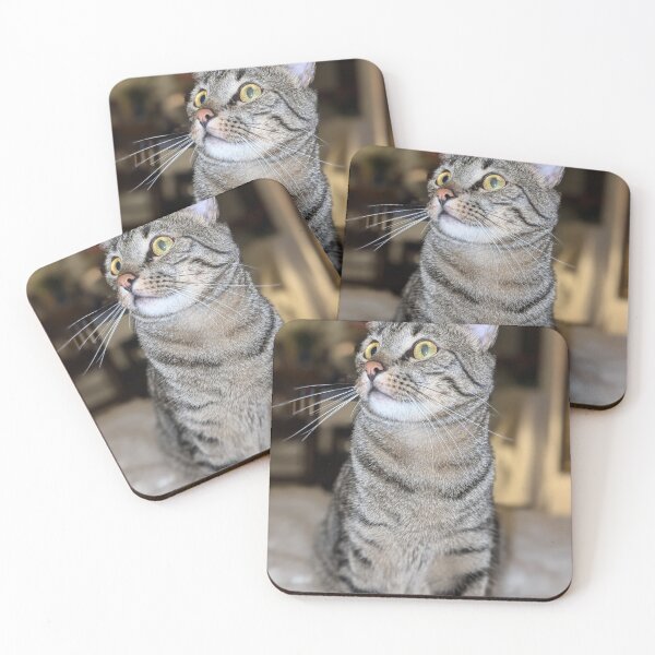 Item preview, Tabby cat-2 designed and sold by irishrainbeau.