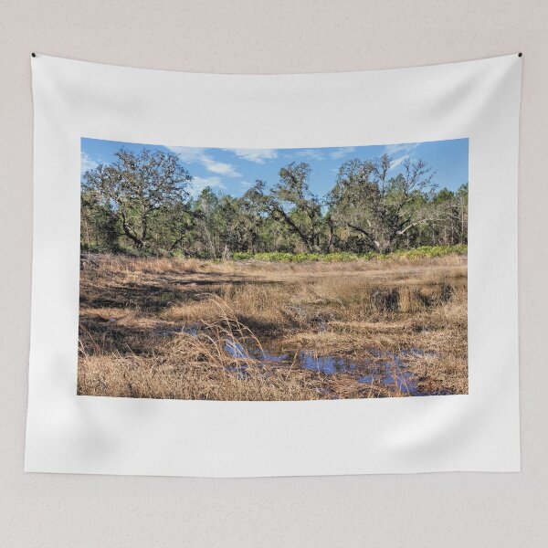 Item preview, Woods And Wetlands 2 - Florida designed and sold by jtrommer.