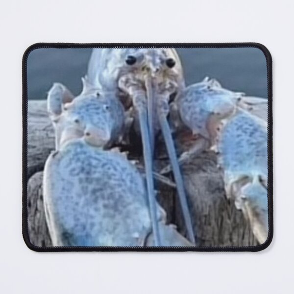 Item preview, blue rak designed and sold by WaveLaugh.
