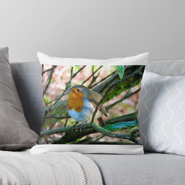 Item preview, Rotund Robin designed and sold by rachaeld13.