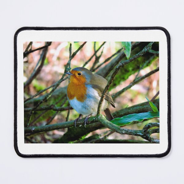 Item preview, Rotund Robin designed and sold by rachaeld13.