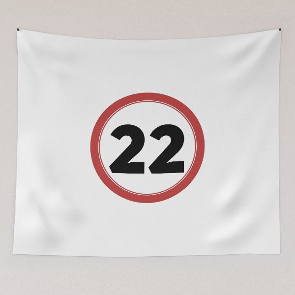 Item preview, Speed limit 22, happy 22nd birthday designed and sold by Wolagno.