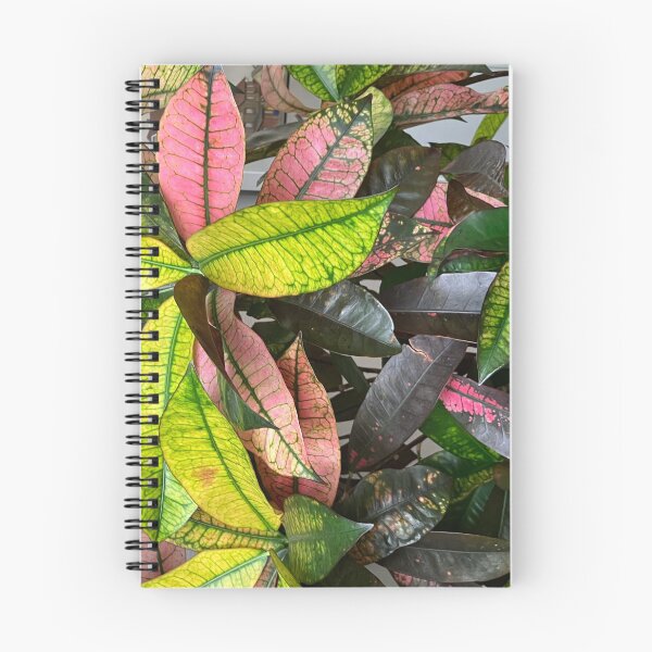 Item preview, Annas Croton designed and sold by ClaireRequa.
