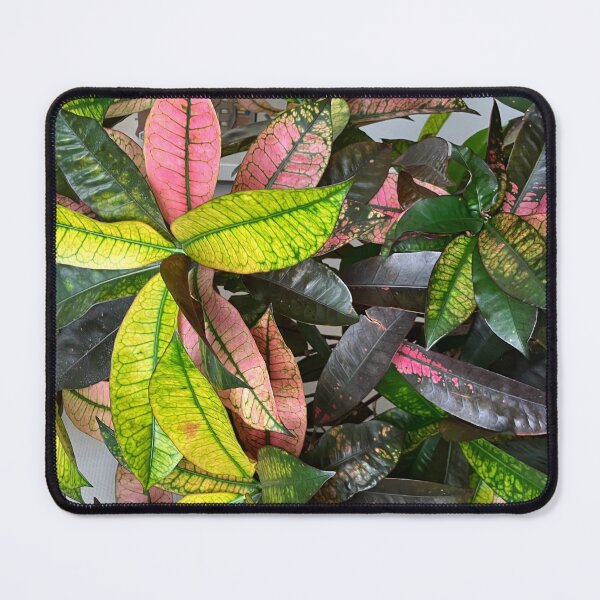 Item preview, Annas Croton designed and sold by ClaireRequa.