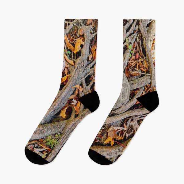 Item preview, Autumn Roots designed and sold by bjtomiko.