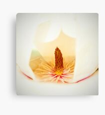 In The Abstract Canvas Print