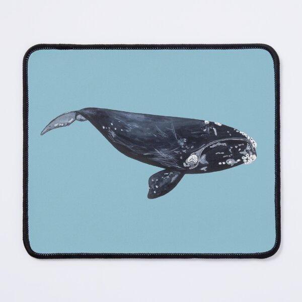 Item preview, NORTH ATLANTIC RIGHT WHALE-Eubalaena glacialis designed and sold by BEATRIZ ABAITUA.