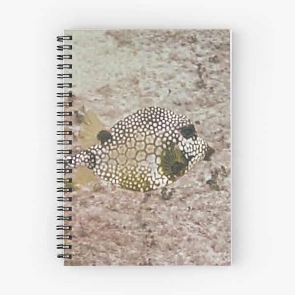 Item preview, dls puffer designed and sold by pcfyi.