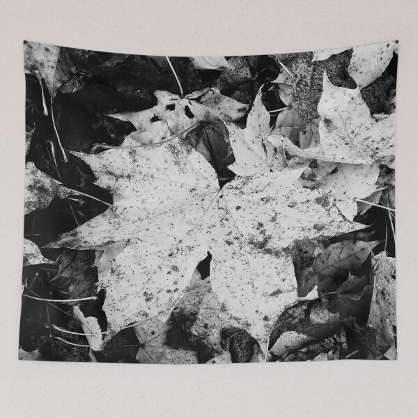 Item preview, The big one. Norway maple bw designed and sold by Jouko Lehto Photography.