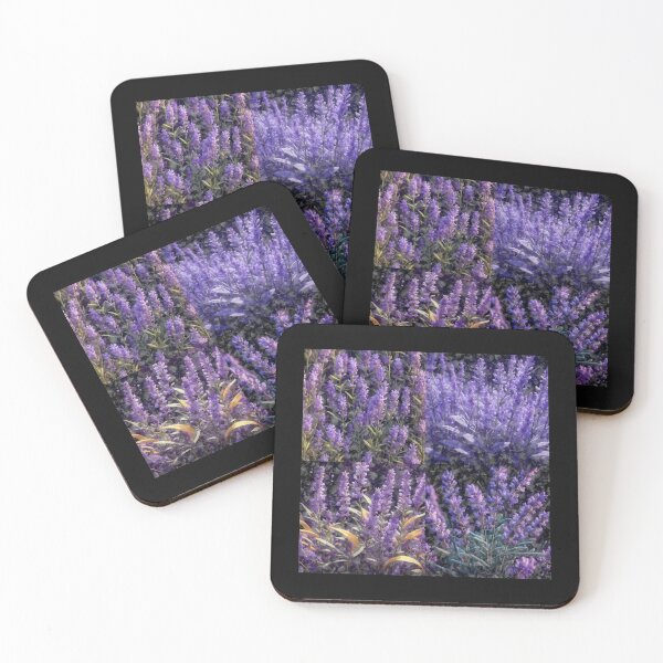 Item preview, Lavandula officinalis Lavander bulk designed and sold by Helios Be. Lavsh.